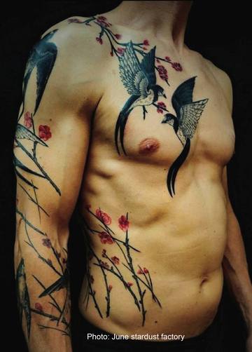 Le lien