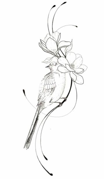 Oryte à longue queue