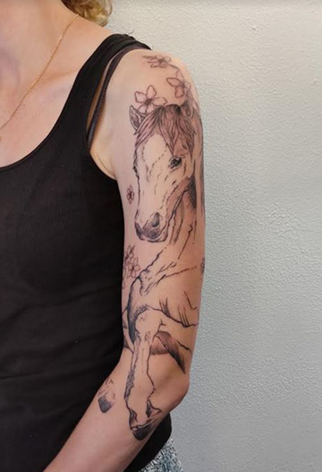 Cheval mon ami