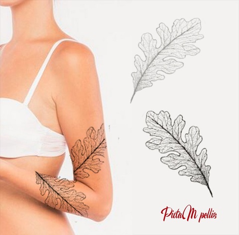 PictaM_pellis_flash_Toulouse