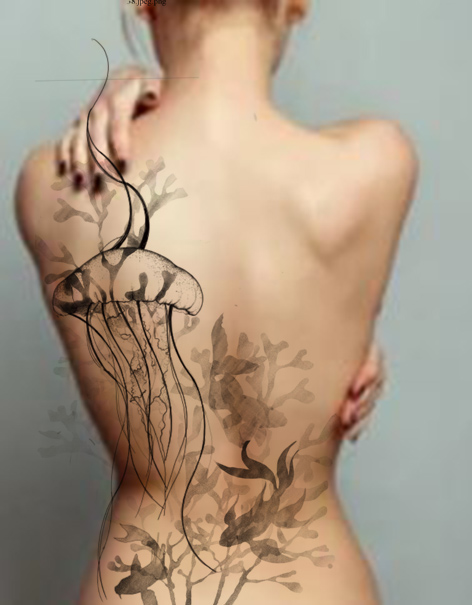 Jelly fish proposition