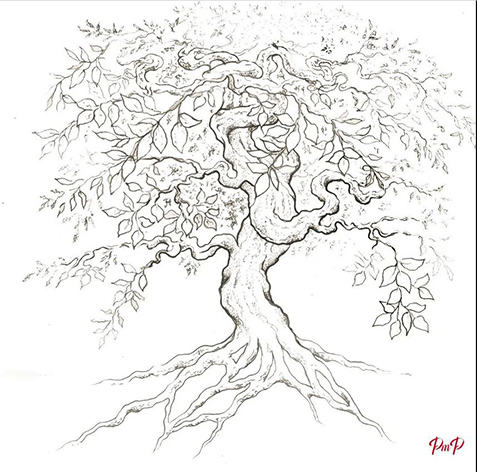 Flash_PictaM_pellis_arbre_hêtre_toulouse