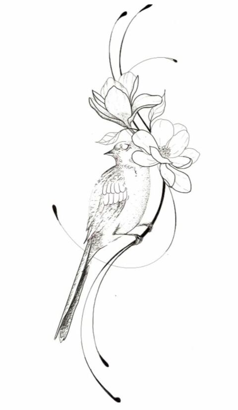 Oryte à longue queue